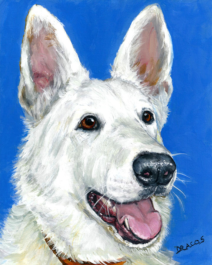 Dog Painting - White German Shepherd on Blue by Dottie Dracos