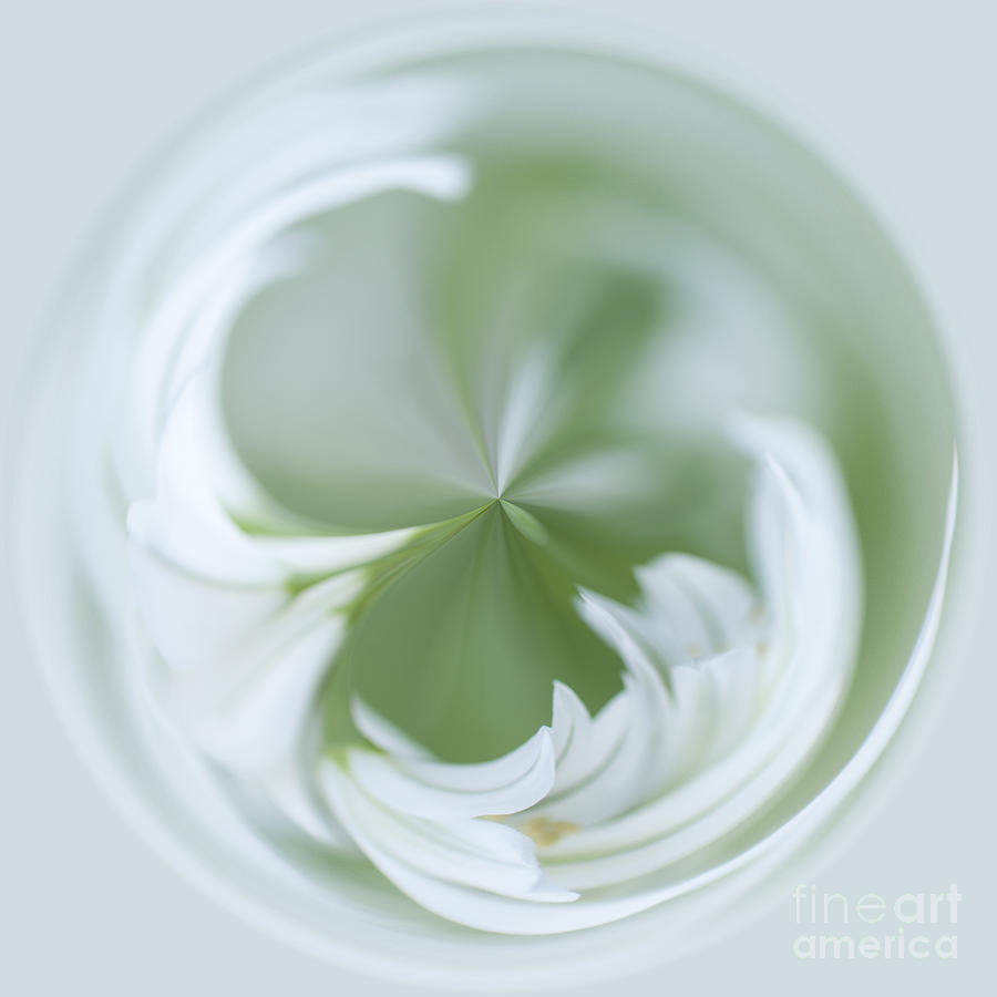 Up Movie Photograph - White Green and Round by Anne Gilbert