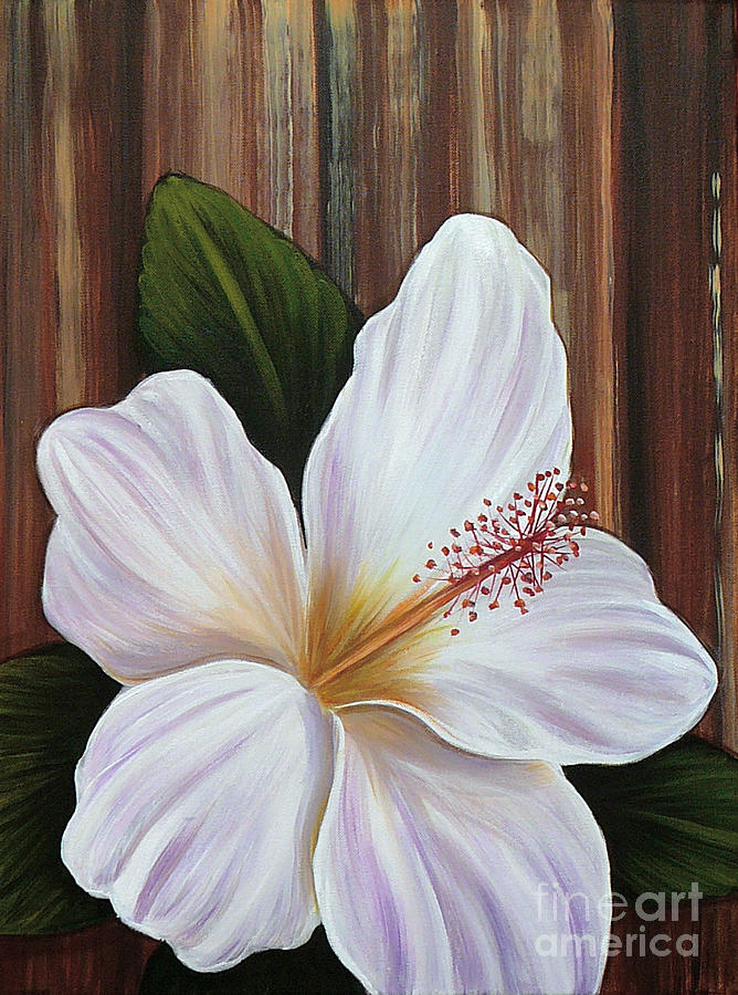 Nature Painting - White Hibiscus by Gayle Utter