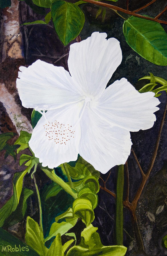 White Hibiscus Painting by Mike Robles