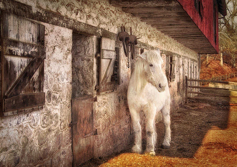 White horse by an old barn Photograph by Carolyn Derstine