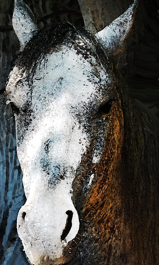 White horse face Digital Art by Gina Dsgn