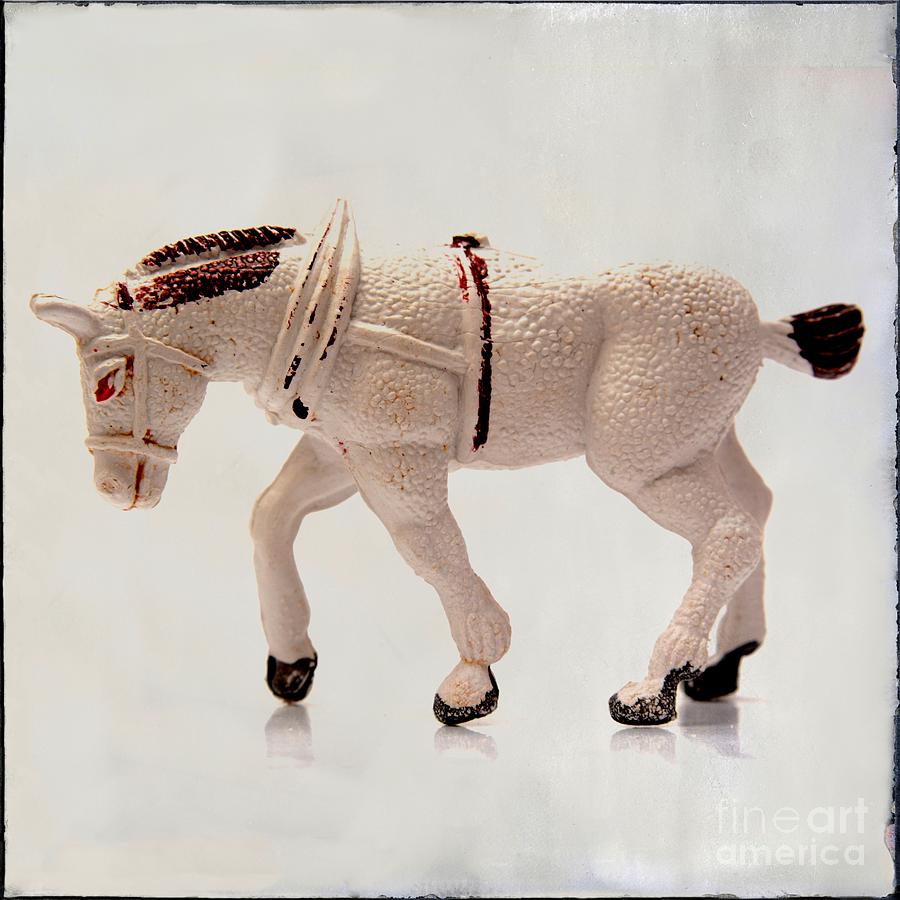 Horse Photograph - White horse figurine by Bernard Jaubert
