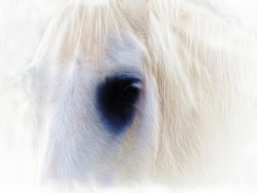 White Horse look Digital Art by Lilia D