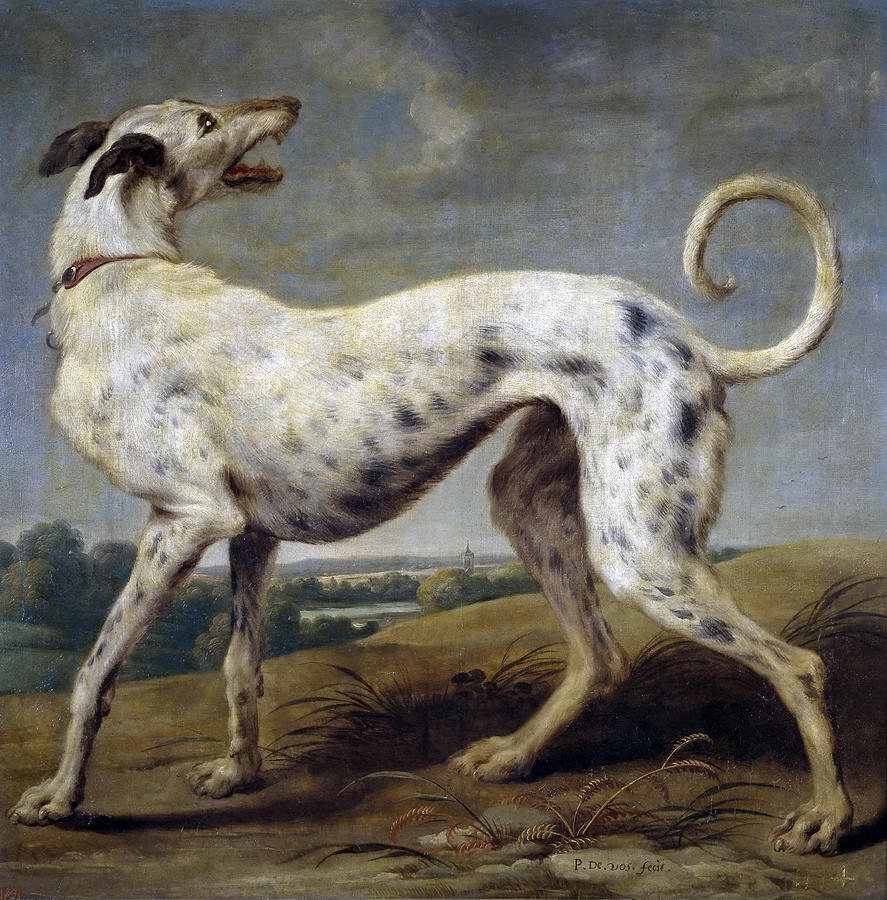 White Hound Painting by Paul de Vos White Hound Painting by Paul de Vos