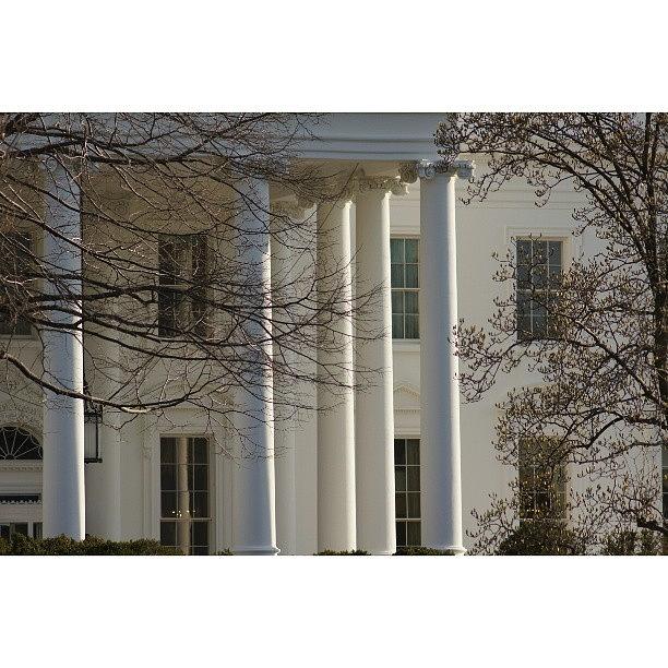 Nevershoutnever Photograph - White House Close Up by Pedro E Cruz