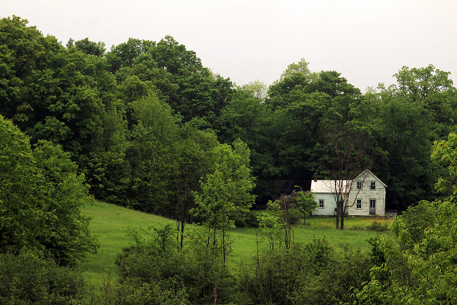 White House Green Trim Photograph by Jim Vance - Pixels