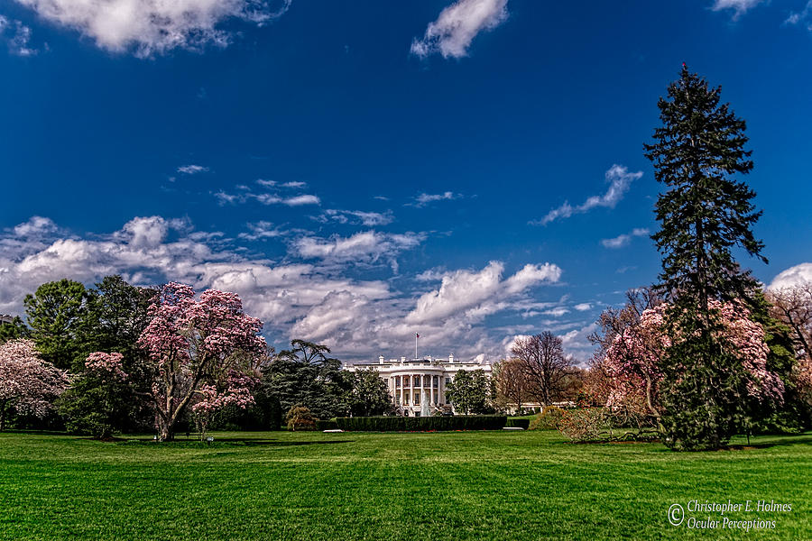 White House Lawn in Spring Photograph by Christopher Holmes