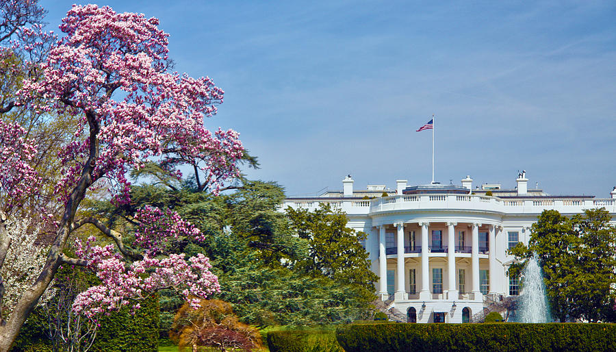 White House Spring Photograph by Mitch Cat