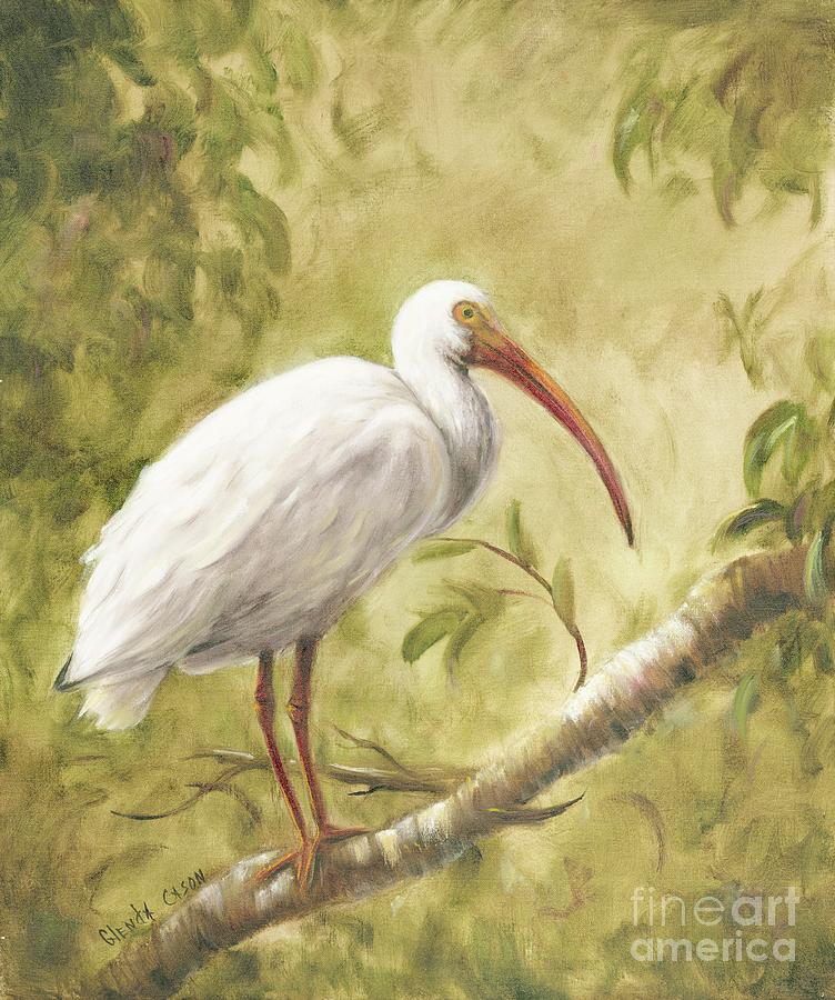 White Ibis Painting by Glenda Cason