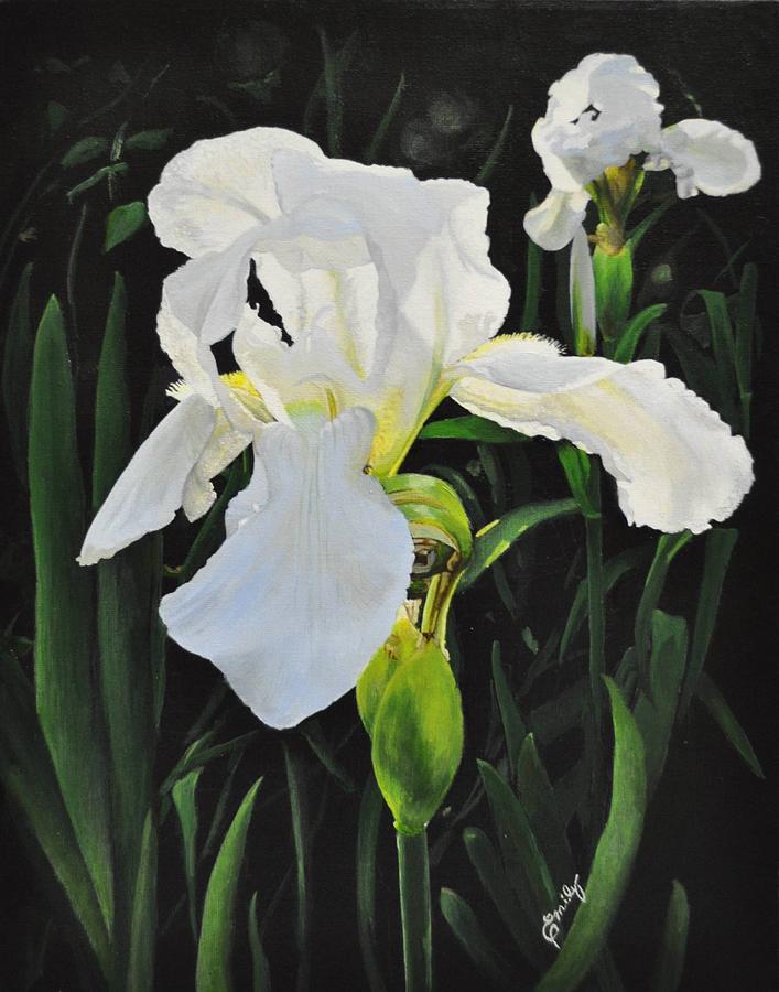 Iris Painting - White Iris by Emily Land