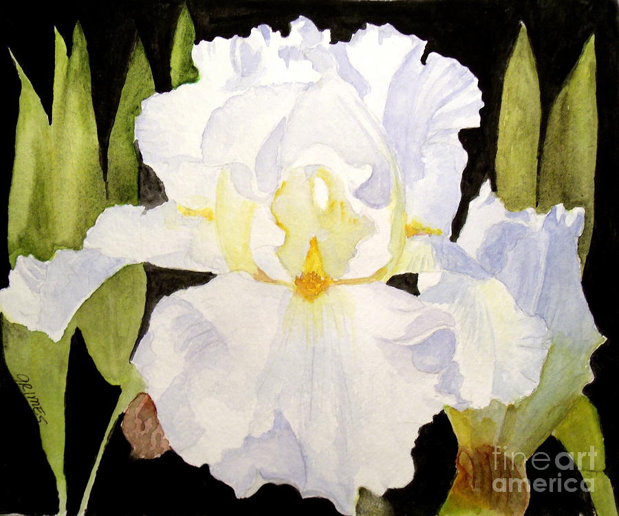White Iris in the Garden Painting by Carol Grimes