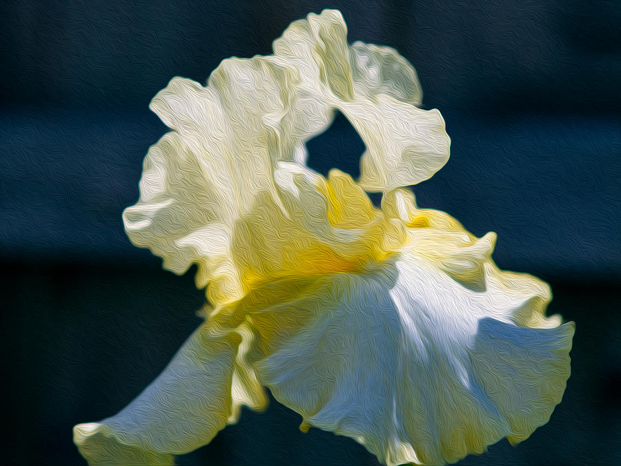 White Iris with Yellow Painting by Omaste Witkowski