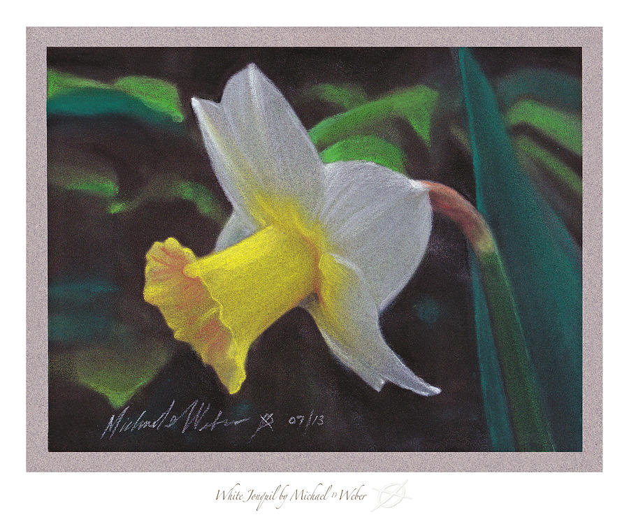 White Jonquil Drawing by Michael Weber Fine Art America