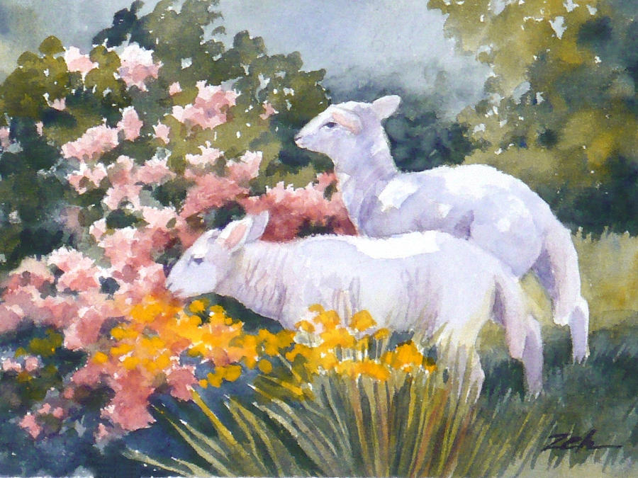 White Lambs in Scotland Painting by Janet Zeh