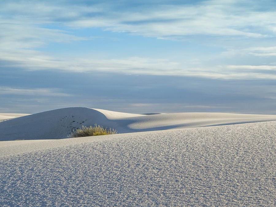 White Landscape Photograph by Jean Noren