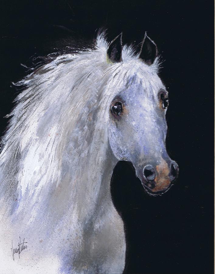Horse Painting - White Lightning by Jerry Bates