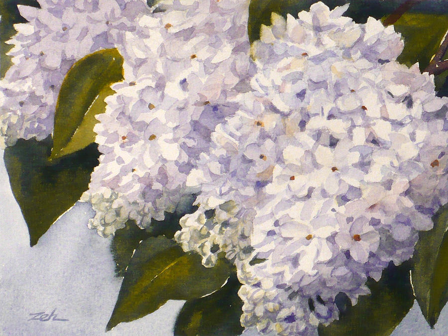 White Lilacs Painting by Janet Zeh