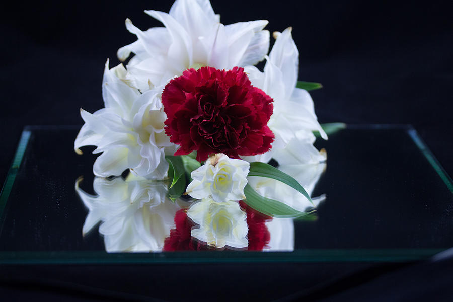 White Lilly and Red Carnations Photograph by Susan Jensen