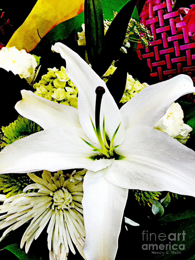 White Lilly Photograph