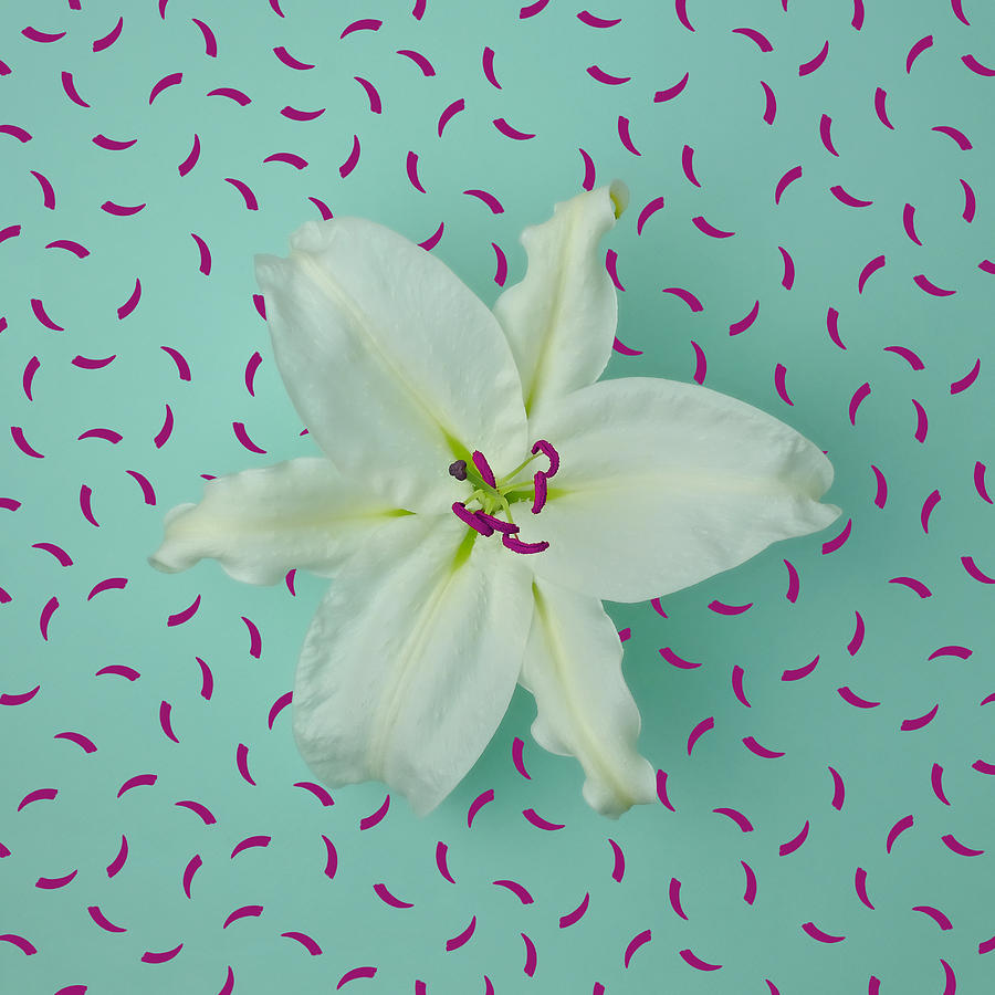 White Lily On Patterned Background Photograph by Juj Winn