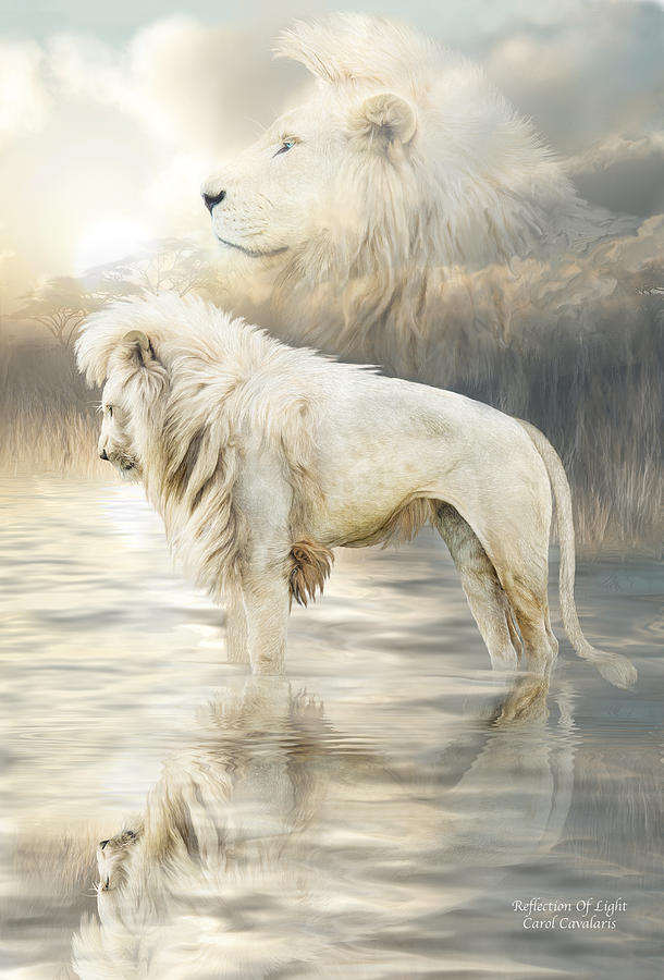 White Lion - Reflection Of Light Mixed Media by Carol Cavalaris