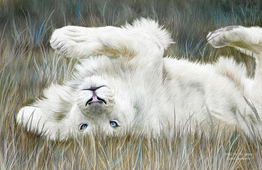 White Lion - Wild In The Grass Mixed Media by Carol Cavalaris