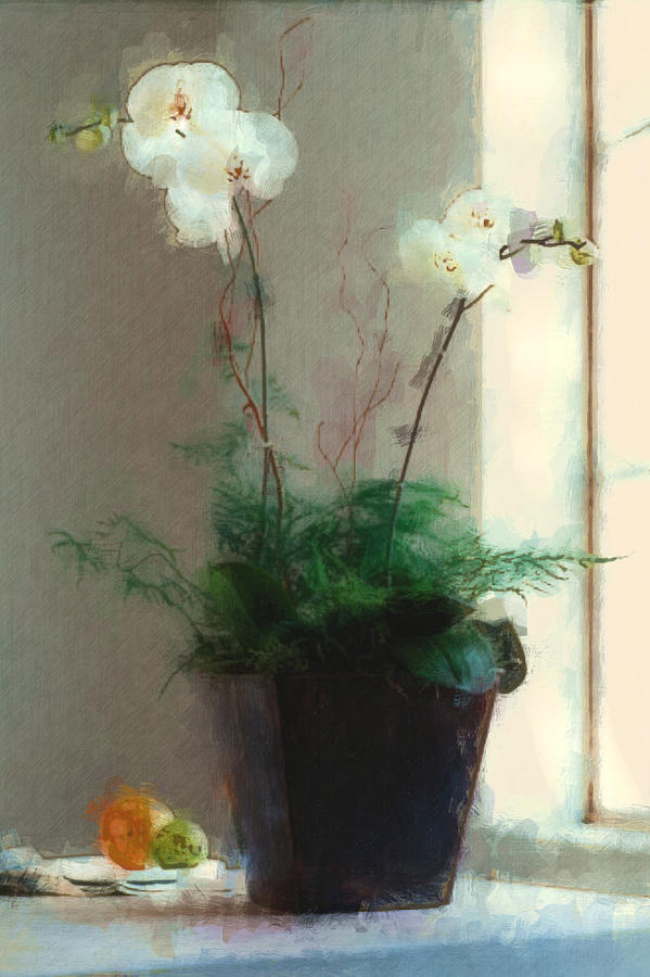 Orchid Painting - White Moth Orchid and Still Life in Window by Elaine Plesser
