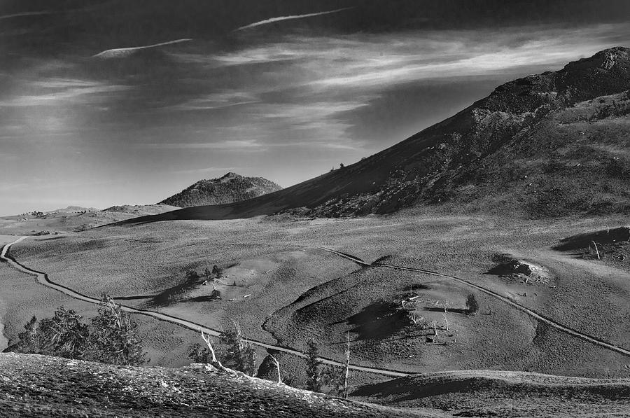 White Mountains Ca Photograph by Sybille Beltran - Fine Art America