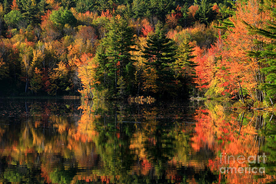 White Mountains Reflection Photograph by Butch Lombardi