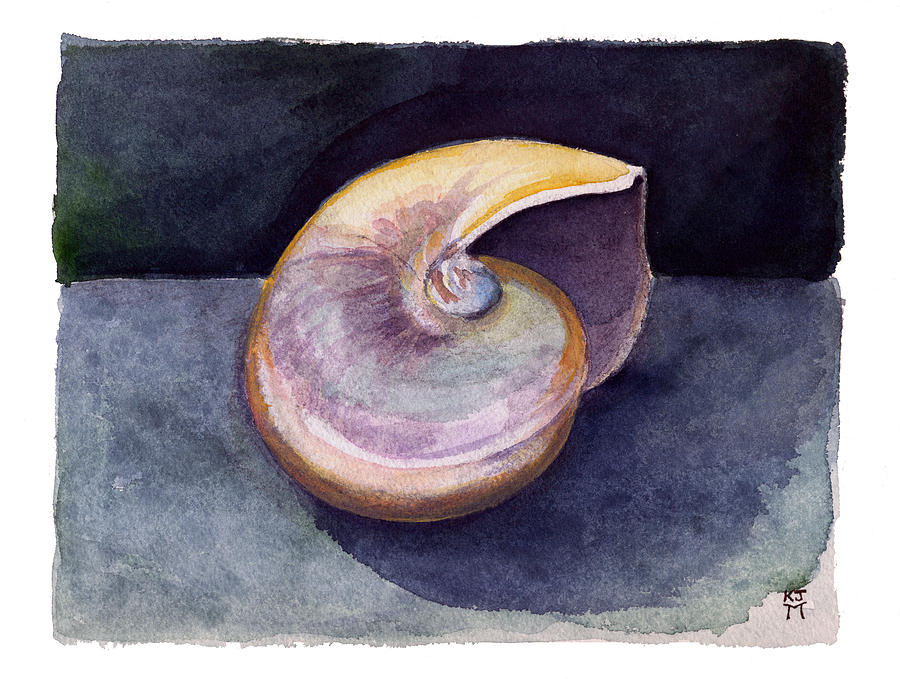 White Nautilus Painting by Katherine Miller