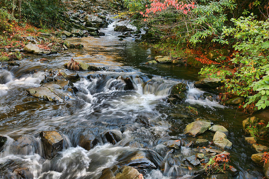 Fall Photograph - White Oak Creek II by Shari Jardina