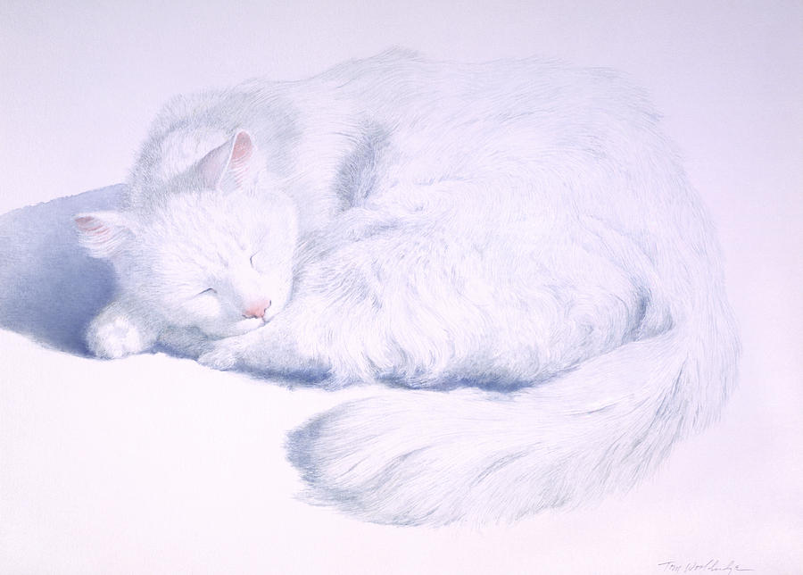 White on White Painting by Tom Wooldridge