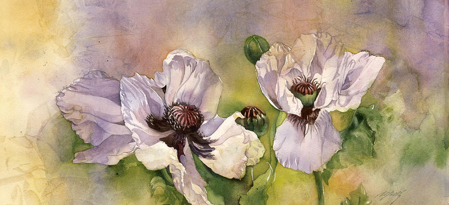 White Poppies Painting - White Oppies by Alfred Ng