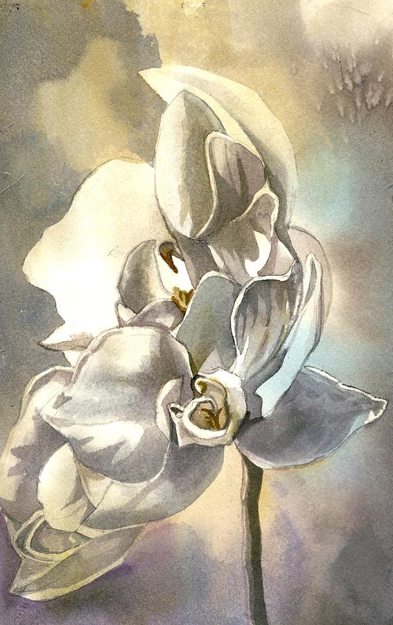 White Orchid Painting by Alfred Ng