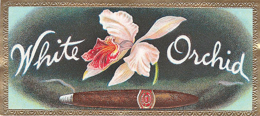 White Orchid Cigar Label Digital Art by Label Art