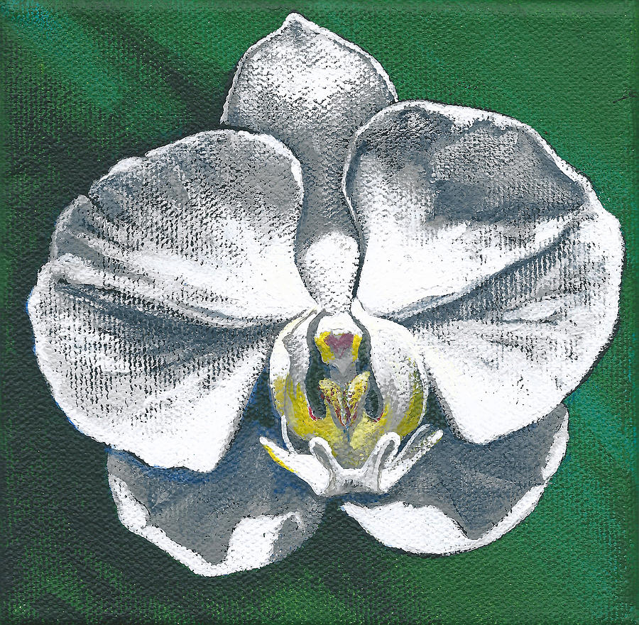 White Orchid I Painting by Joan Garcia