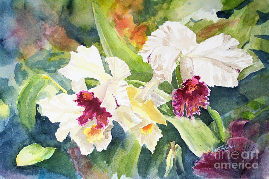 White Orchid Painting by Janis Lee Colon