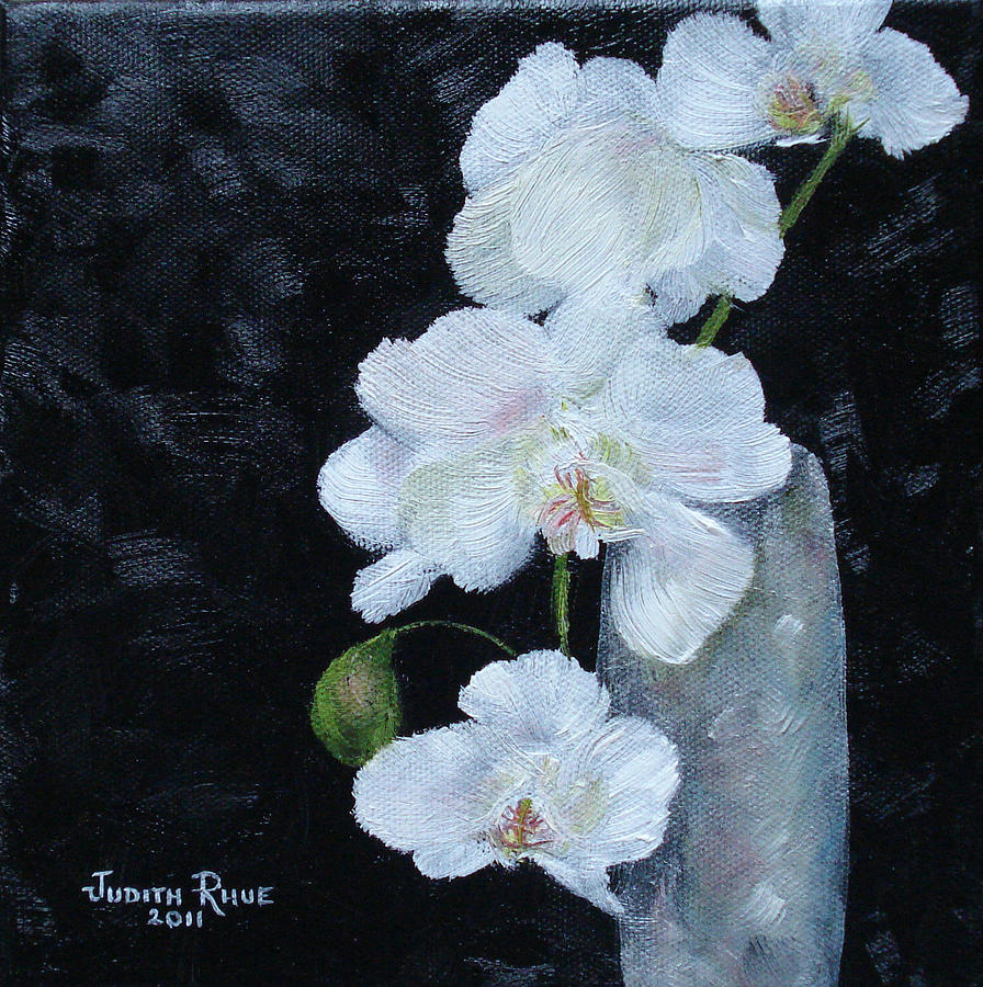 White Orchid Painting by Judith Rhue