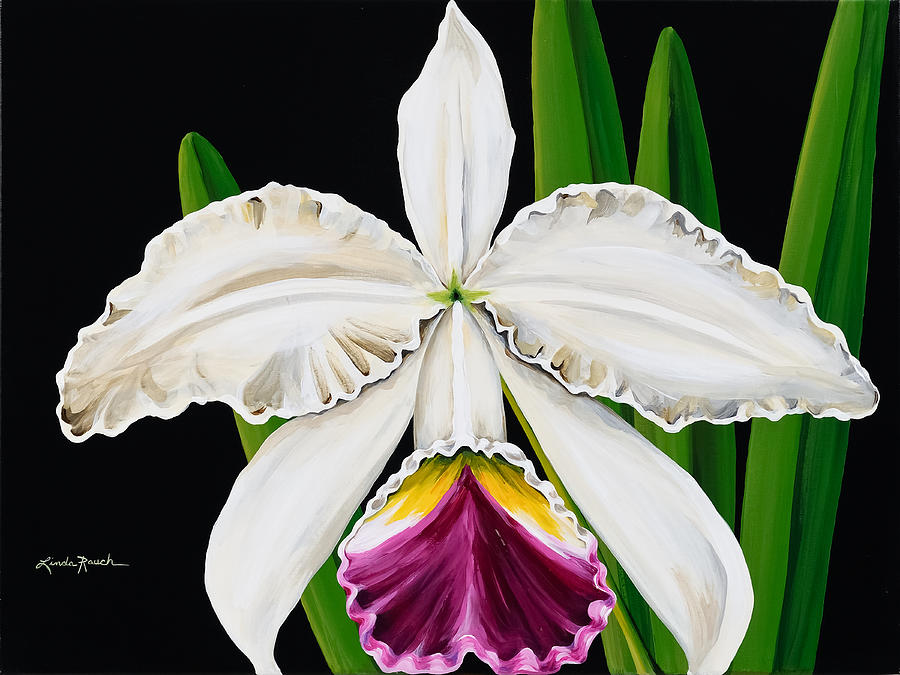 White Orchid Painting by Linda Rauch
