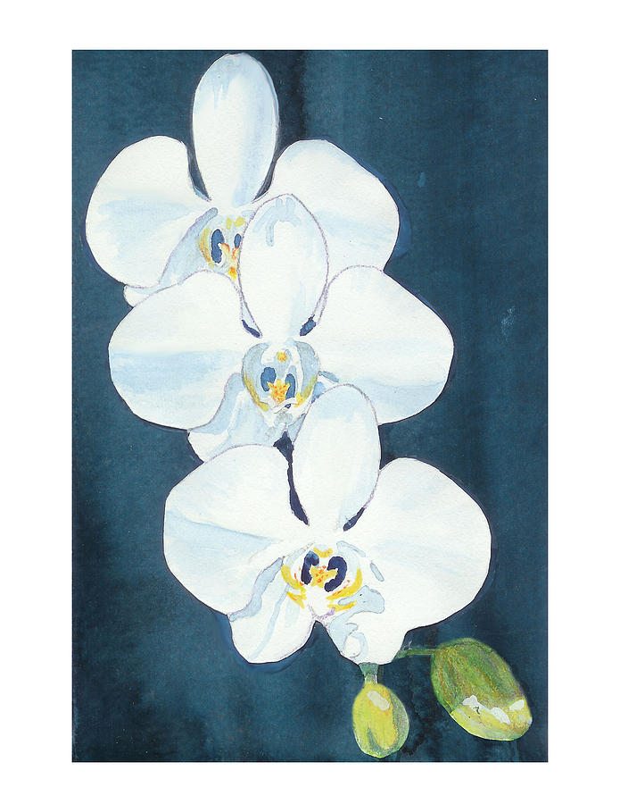 White Orchids Painting by C Sitton