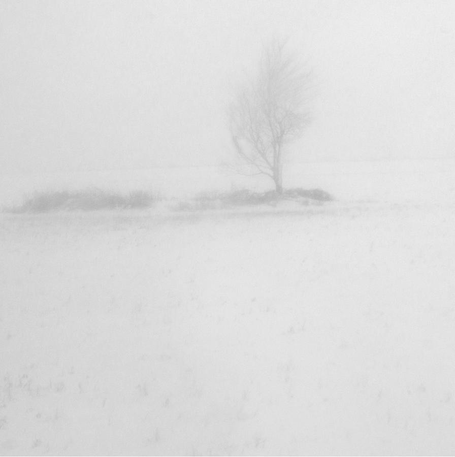 White out Photograph by Arkady Kunysz