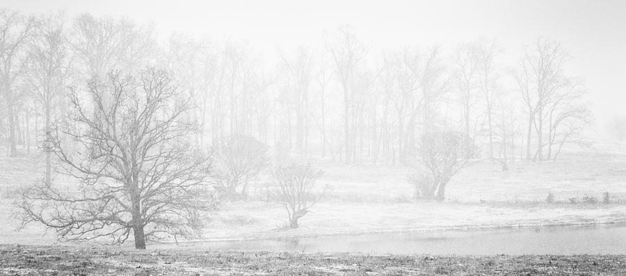 White Out II Photograph by David Waldrop