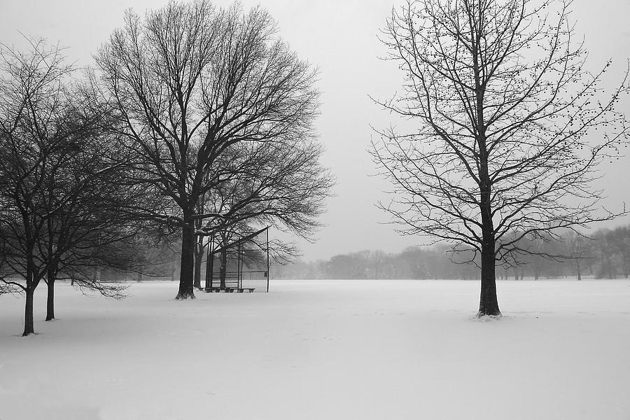 White-out on the Great Lawn Photograph by Cornelis Verwaal