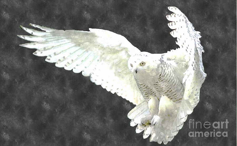 Landscape Painting - White Owl by Larry Stolle