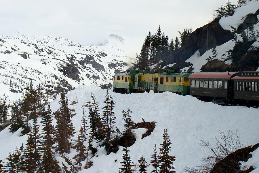 White Pass And Yukon Route Railroad Out Of Skagway Alaska Photograph by Rick Rosenshein