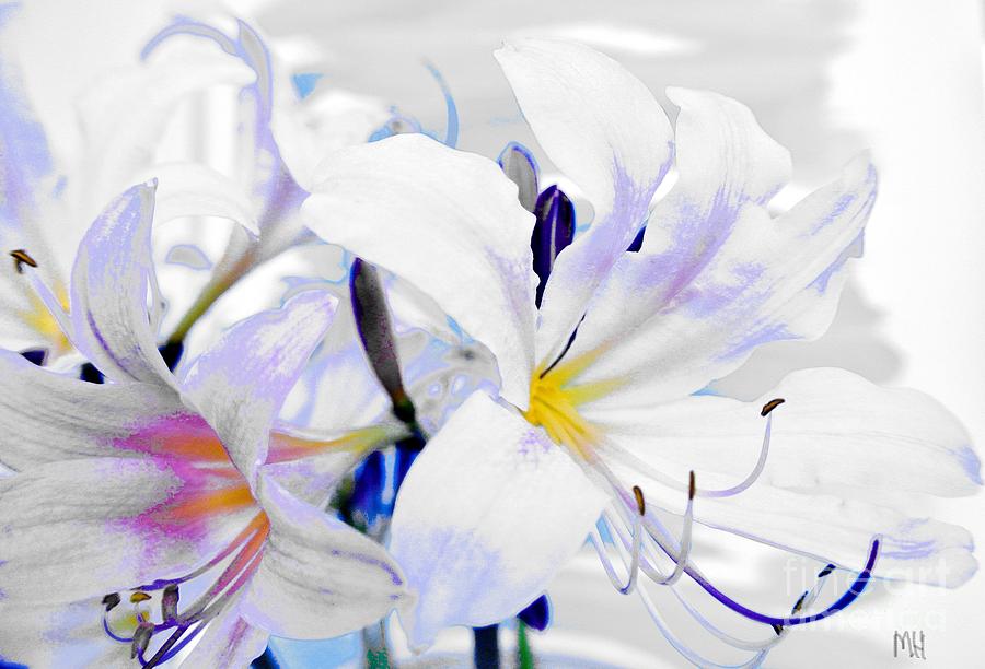 White Pastel Lilies Photograph by Marsha Heiken