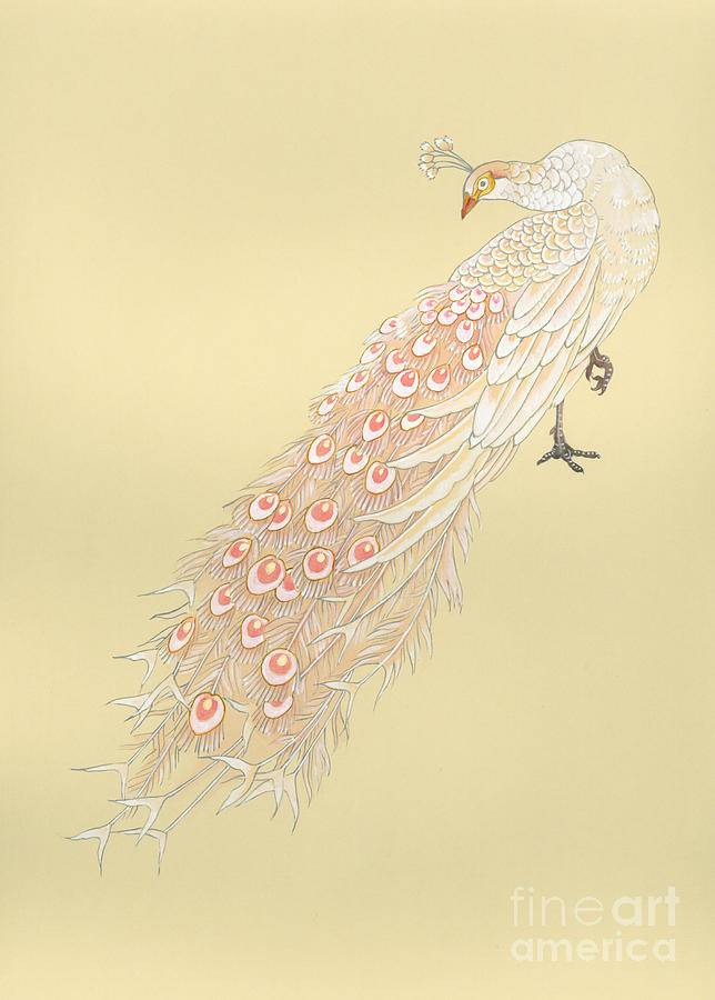 White Peacock Digital Art by MGL Meiklejohn Graphics Licensing