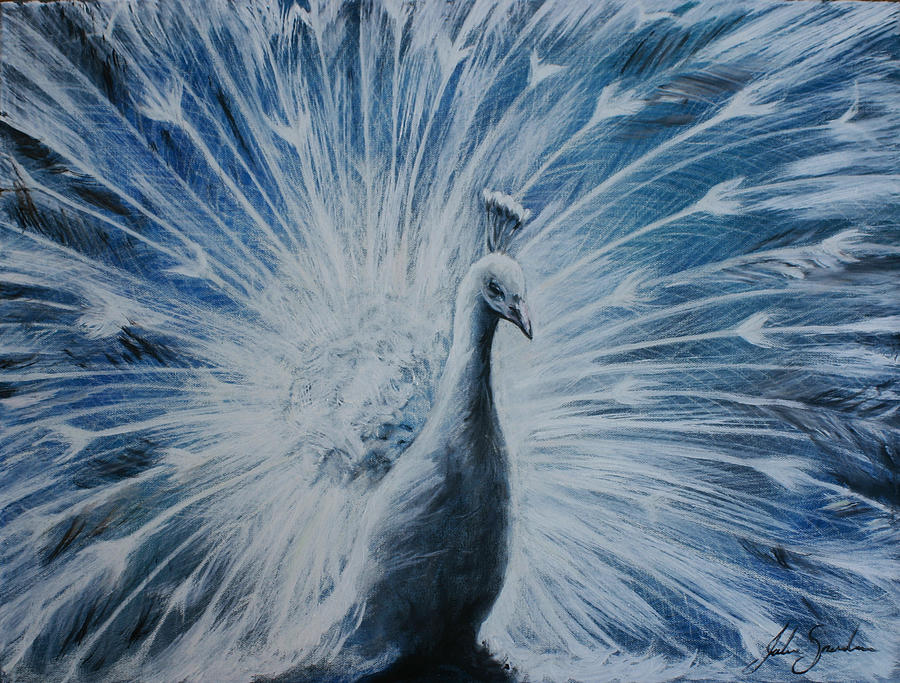 White Peacock Painting by Julie Sneeden - Fine Art America