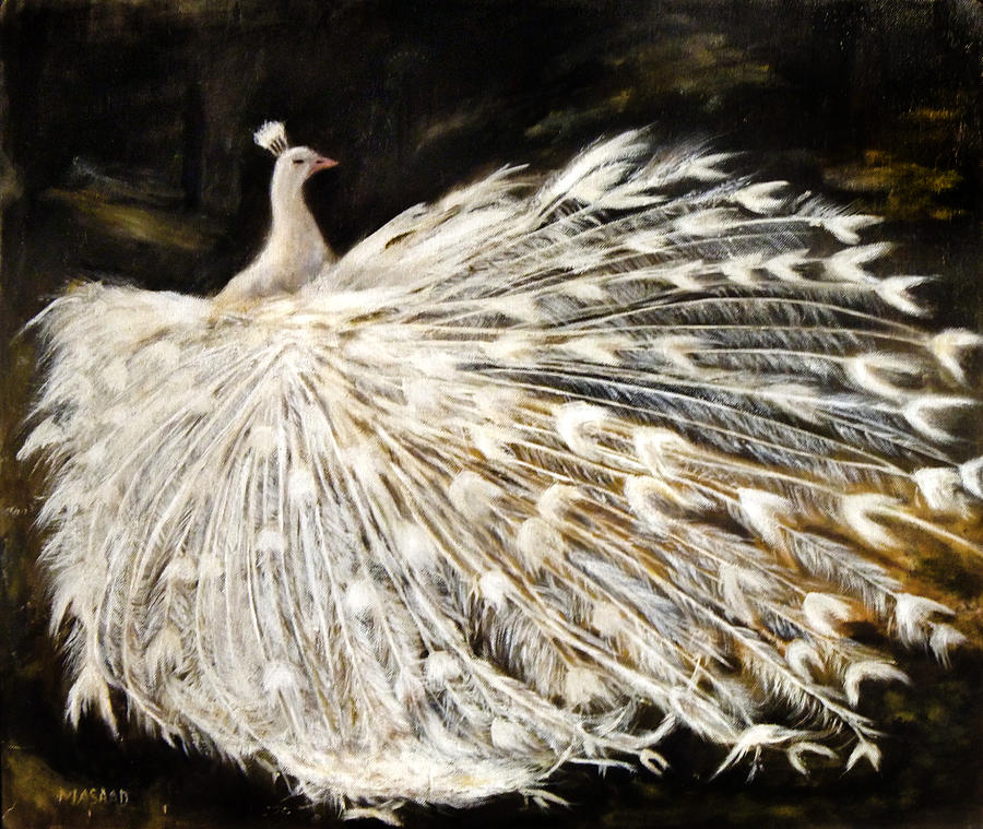 Peacock Painting - White Peacock Painting by Masaad Amoodi